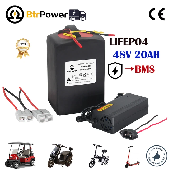 48V 20AH LIFEPO4 Lithium Ebike Battery Pack 40A BMS 1000W