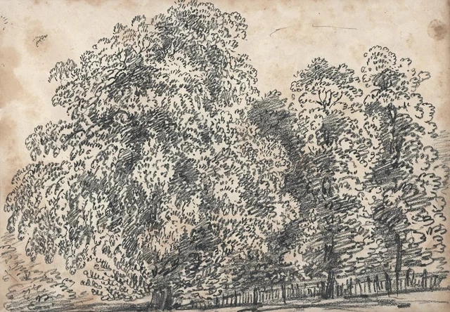 Desin Ancien Sur Papier Etude Fleurs XIXème