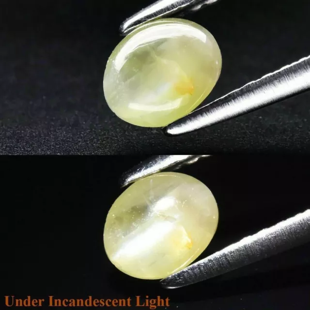 ★★   RARE !! CHRYSOBERYL OEIL DE CHAT DU SRI LANKA : 5.5 mm x 4. mm ★★ P243.129t