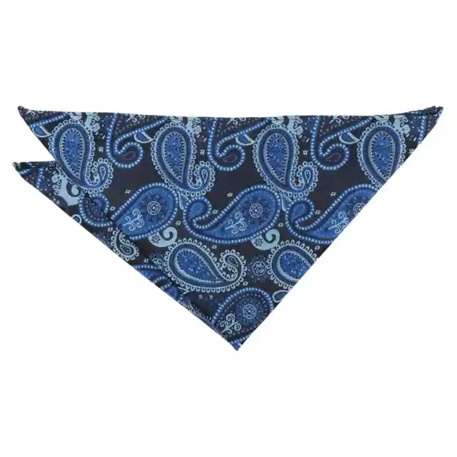 Mens Woven Paisley Bohemian Formal Pocket Square Handkerchief Hanky by DQT