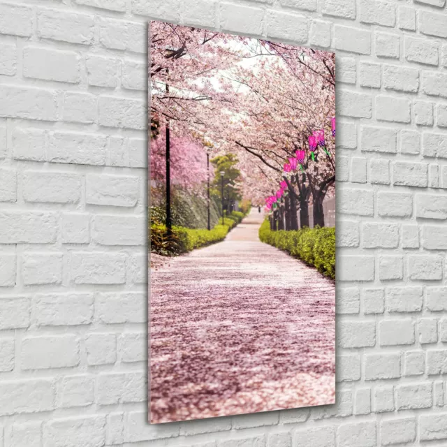 Glasbilder Wandbild Küche Frühlings Sakura Kirsch Blüten blätter garten 60x120
