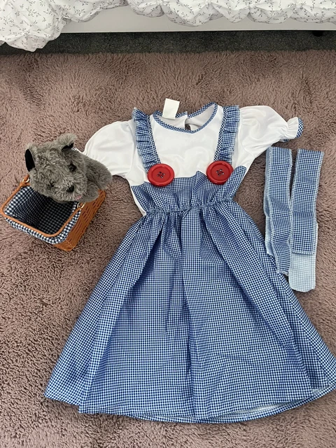 WORLD BOOK DAY DOROTHY Costume From The Wizard Of Oz - Medium (approx ...