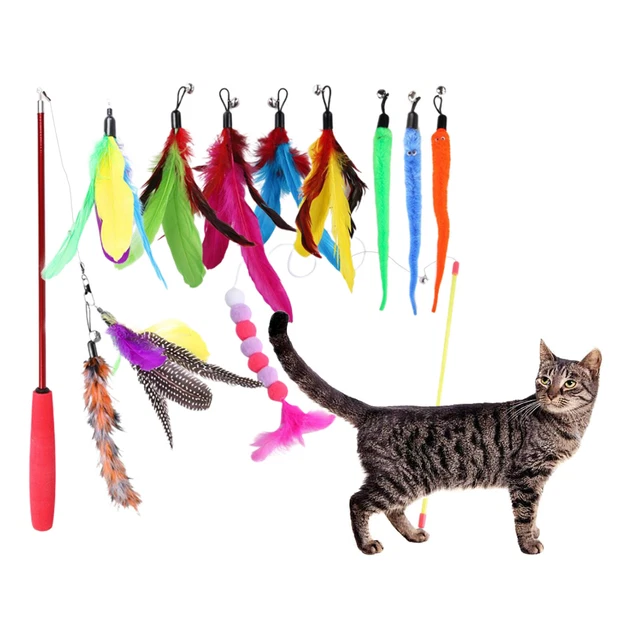 Chat Plume InteractiveToys Drôle Chaton Baguettes Teaser Jouets