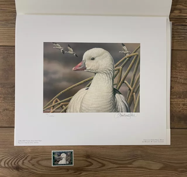 RW73 2006 - Federal Duck Stamp Print **SHERRIE RUSSELL MELINE** + STAMP!