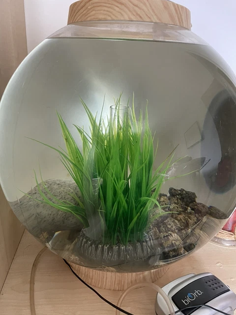 Biorb Classic 60L Fish Tank, natural includes filter stones, plant and rock
