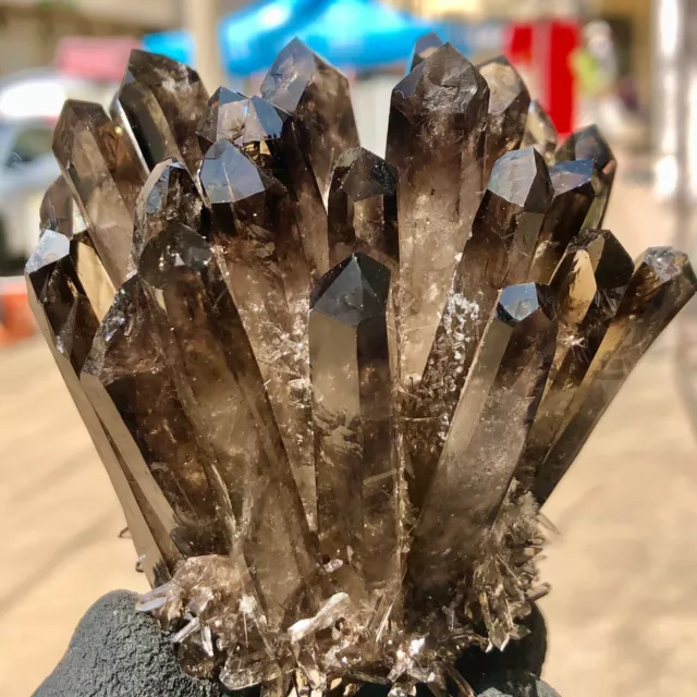 383g  New Find Black Phantom Quartz Crystal Cluster Mineral Specimen Healing