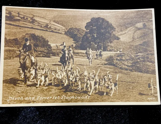 Devon and Somerset stag hounds hunting Devonshire