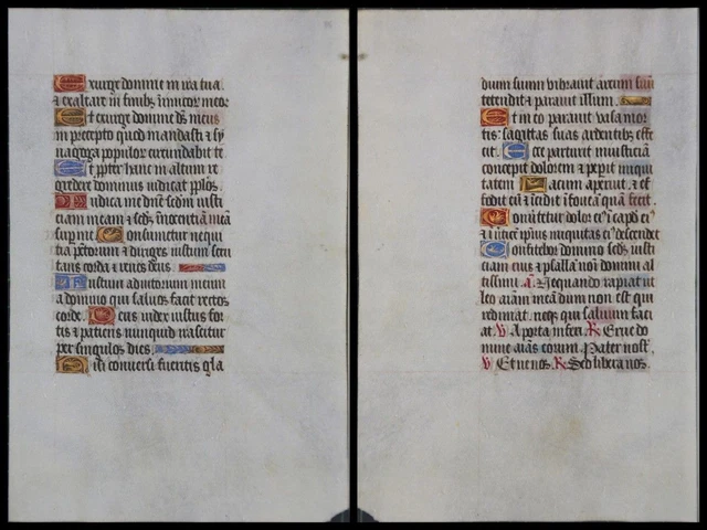 Illuminierte Grafia Su Pergamena Foglia Di Uno Miniatura Um 1500 (062)