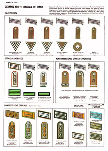 WW2 GERMAN ARMY military Rank General officers Insignia uniform guide ...