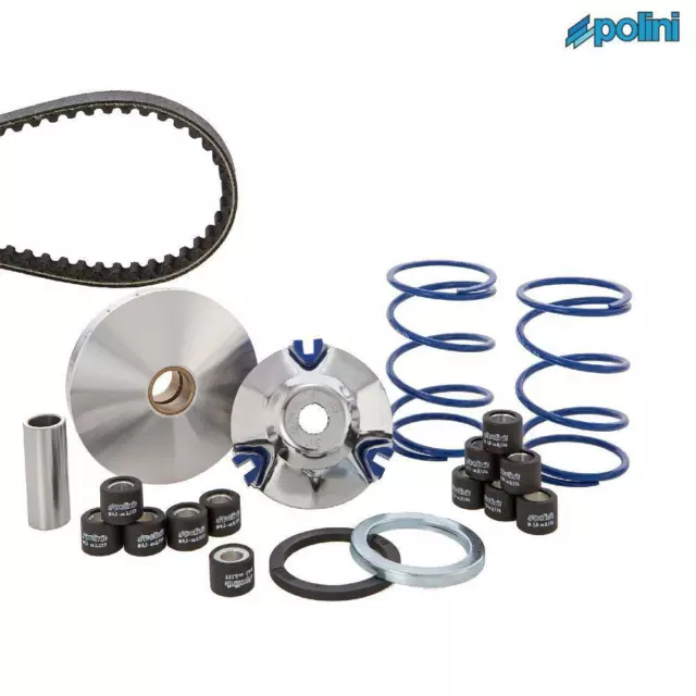 Polini P2416722 Kit Variatore Hi-Speed Gilera 50 Storm 1994-1996