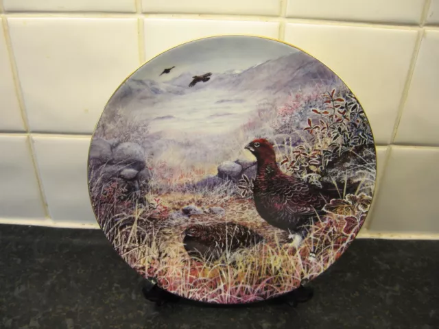 Game  Birds Of Britain   Plate   -  Red Grouse -  Wedgwood