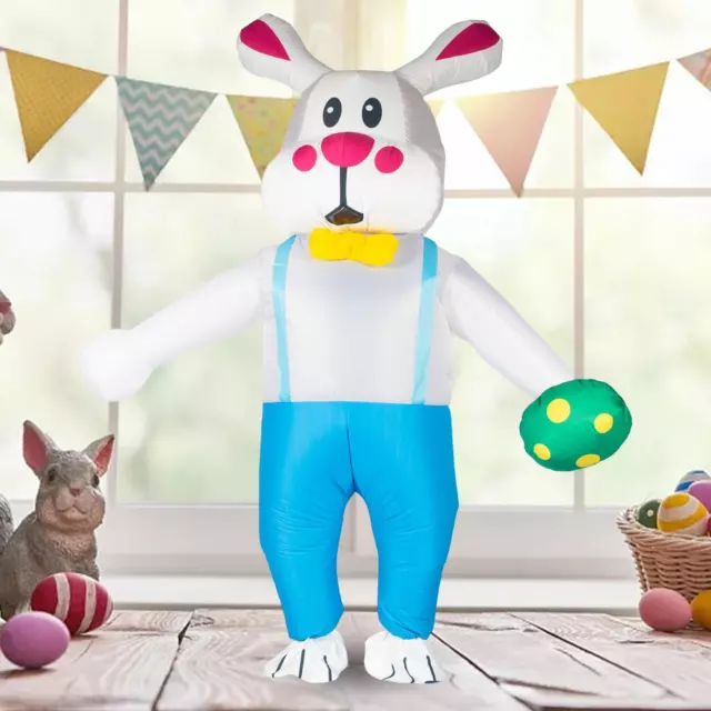 Blanketswarm Costume gonflable de lapin de Pâques, costume de lapin de  Pâques, costume gonflable pour Noël, Halloween, vacances de Pâques :  : Cuisine et Maison