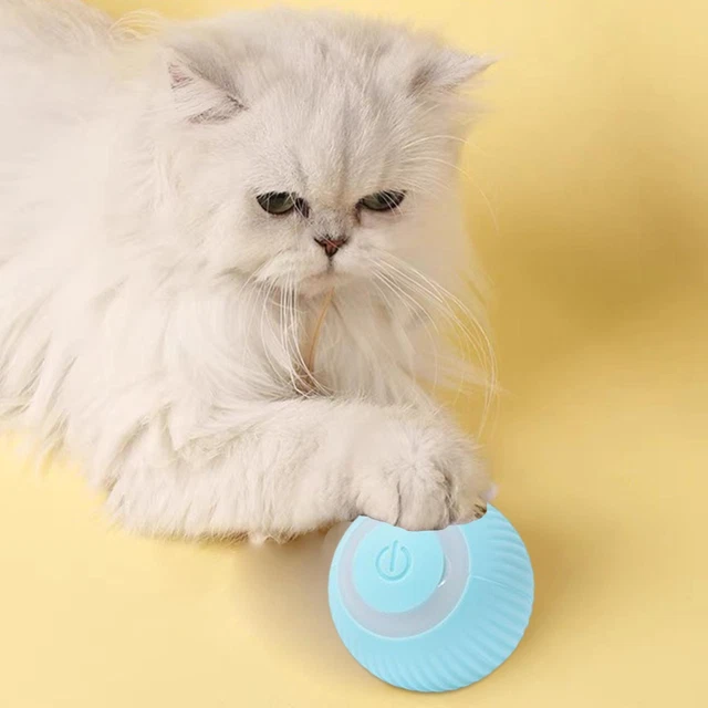 Le jouet interactif de chat joue la boule de roulement automatique pour le