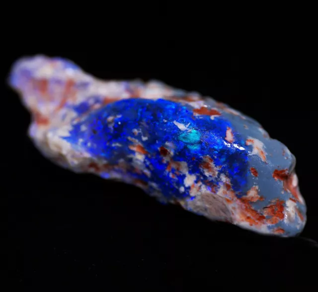 9.75 Carat Australian Lightning Ridge Rough Black Opal Fossil Specimen