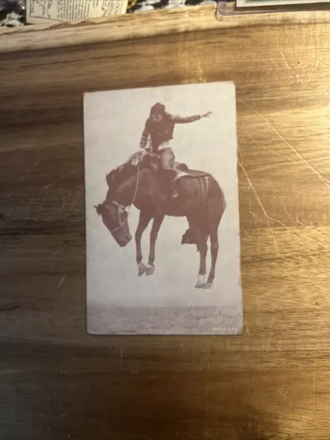 Vintage PostCard  Aged Condition Cowboy Riding Wild Horse - Arcade Card 2