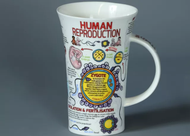 Imperfect DUNOON HUMAN REPRODUCTION Bone China GLENCOE Mug #1B