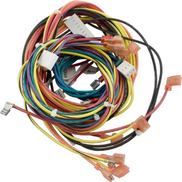 Raypak 009490F Wire Harness for Electronic IID Heater