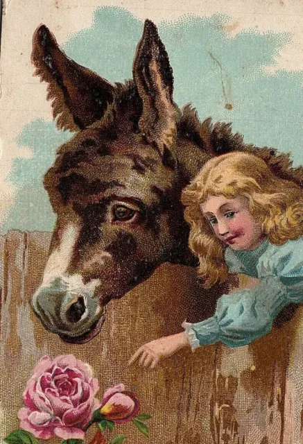 1890 Lion Coffee Mocha, Java & Rio Woolson Spice Co. Cute Girl Horse Fence &Rose