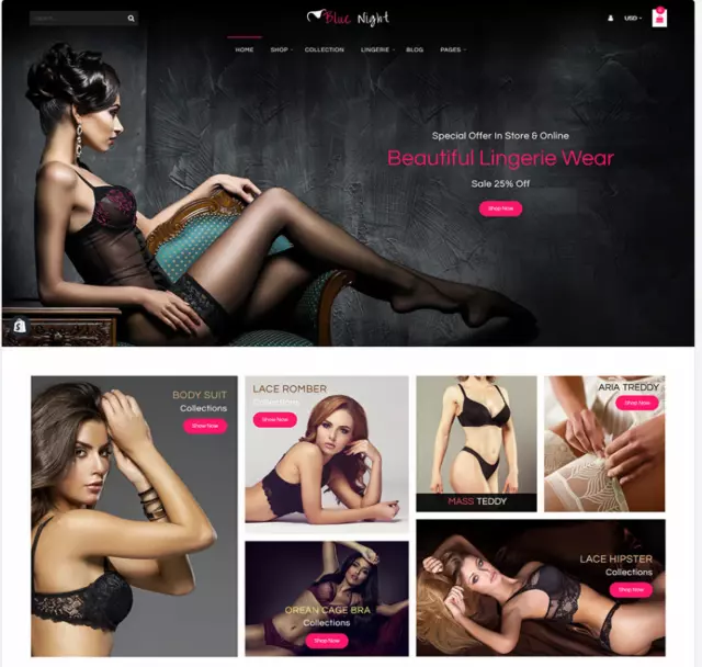 Lingerie Website Business | Luxury Sexy Underwear Dropshipping Store For Sale