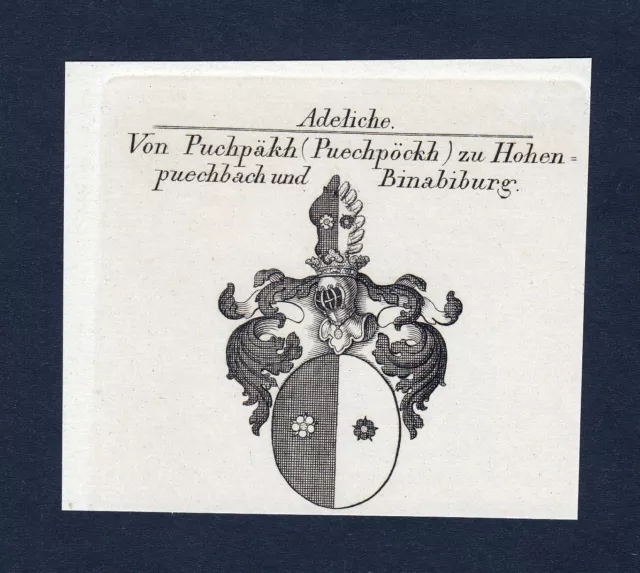 1820 Puchpäkh Binabiburg Coat of Arms Nobility Heraldry Copperplate Engraving