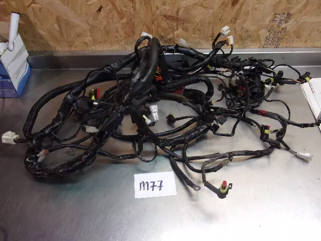 2012-2016 Piaggio Beverly 350ST ABS 350 ST Main wiring loom harness  *M77*