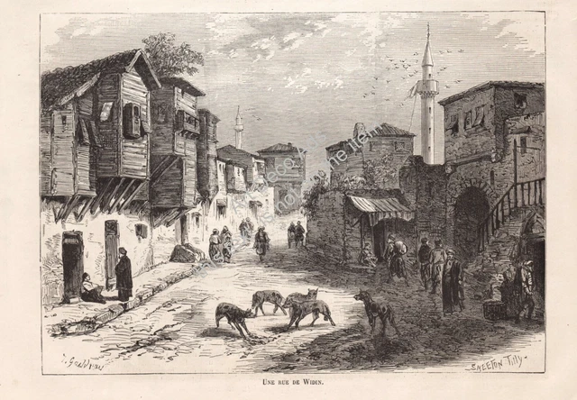 SERBIE SERBIA SRBIJA A street of Widin Gravure Engraving 1876