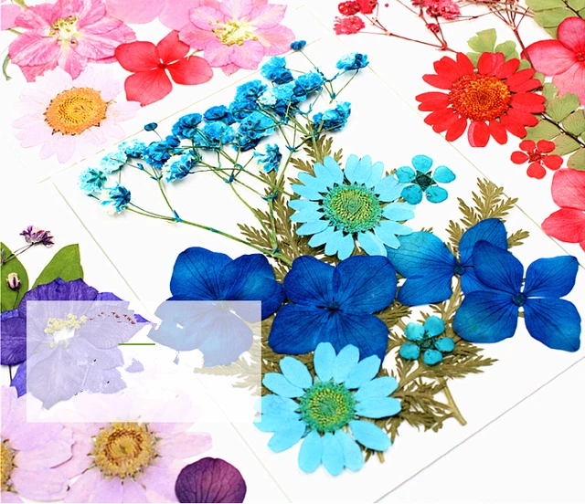 Plantas de flores secas reales naturales para velas de resina epoxi fabricación artesanal hágalo usted mismo
