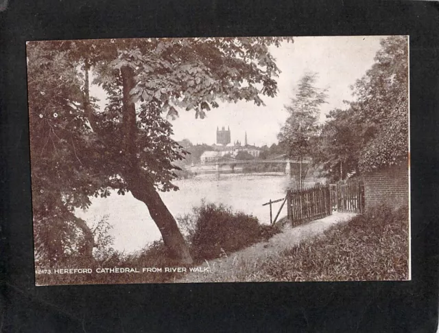 C6548 UK Hereford Cathedral from River Walk vintage postcard