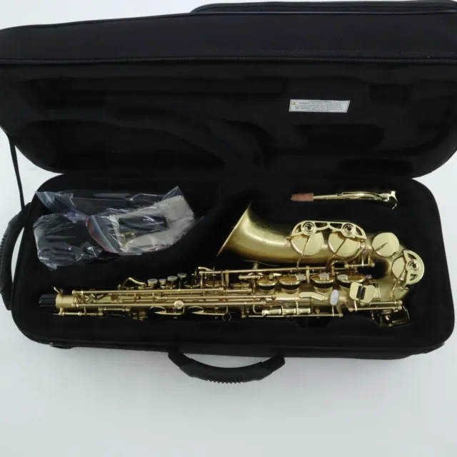 Selmer Model SAS711M Professional Alto Saxophone in Matte Lacquer MINT CONDITION