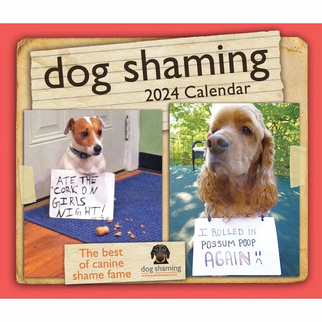 DOG SHAMING DESK Calendar 2024 Humour Day To View £12.78 PicClick UK