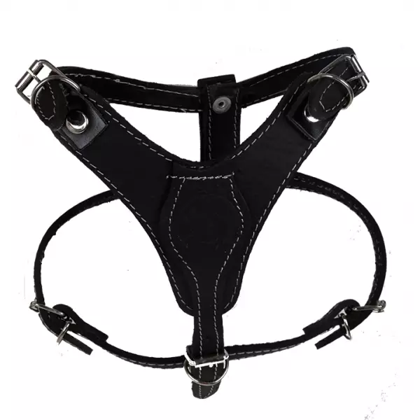 Genuine Cow Hide Leather Dog Harness - 6 Sizes