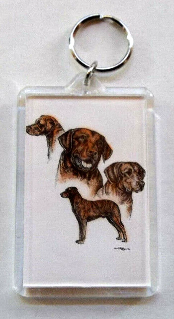 Chesapeake Bay Retriever Keychain 2"x 3" ~ New