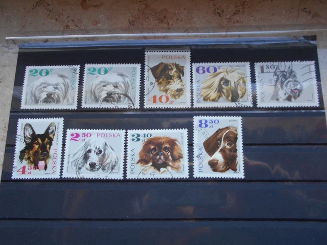 Briefmarken Polen Polska 1969 Mi-Nr. 1898 - 1905 Hunde gestempelt mit Zugabe