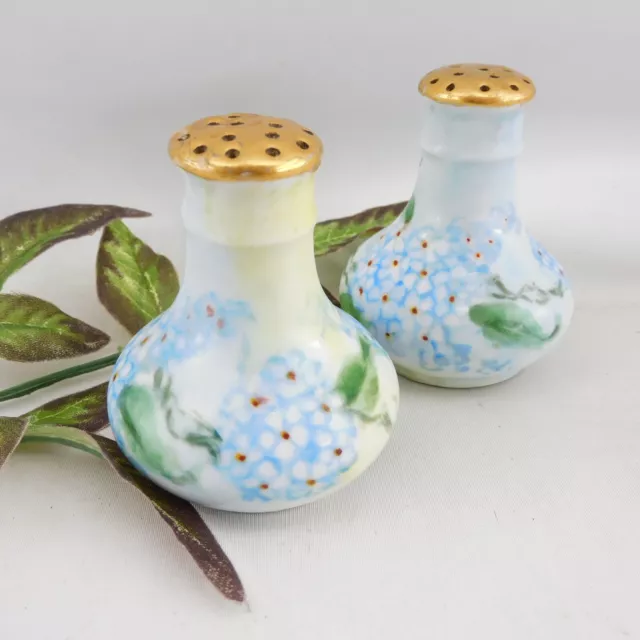 Luken Art Studio Vtg Salt and Pepper Shakers Hand Painted Forget-Me-Not Gold Top