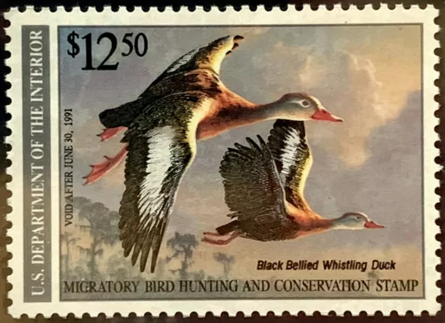 US Duck Folio 1990 Black Bellied Whistling Duck, Mint