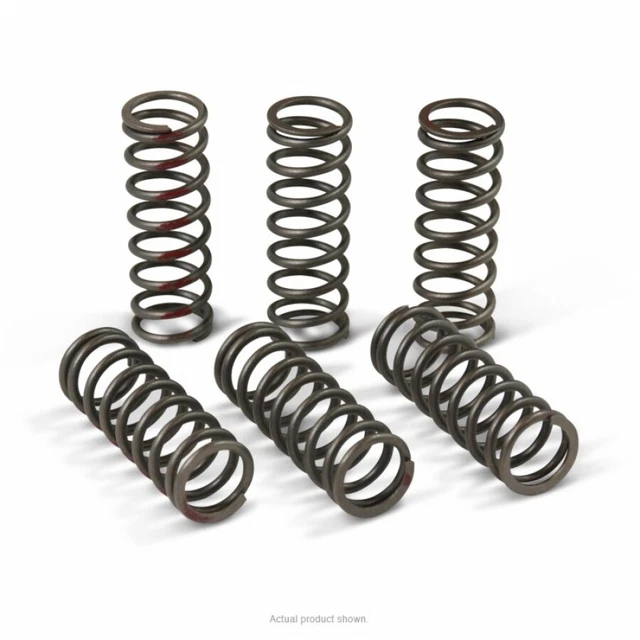 Performance Clutch Springs Pro Circuit CSH13450-CS 13-17 CRF450R