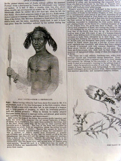 Descripción Zulu Warrior 1857 - Cultura Y Habilidad De Lucha Y Bárbaros Bóers Holandeses
