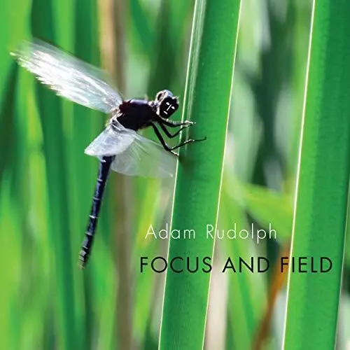 Rudolph Focus & Field (CD) (US IMPORT)