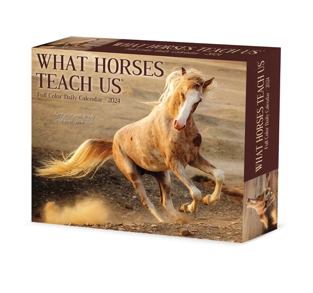 WHAT HORSES TEACH Us 2024 6.2" x 5.4" Box Calendar £12.77 PicClick UK
