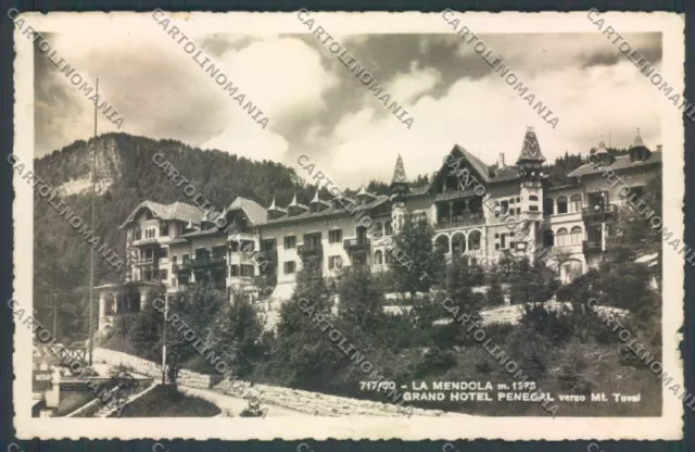 Trento Passo della Mendola photo postcard ZB0975