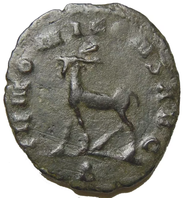 Cornelia Salonina Wife of Gallienus Ant . Bearded elk walking Officina letter A