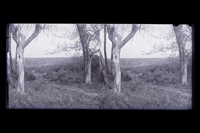 France Paysage Campagne Photo Amateur Plaque de verre stéréo NEGATIF vers 1925