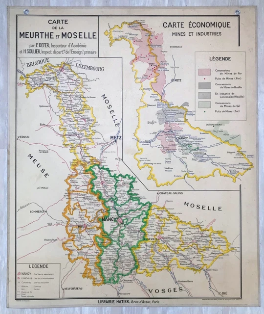 Affiche Scolaire Vintage Hatier – Oiseaux Gallinacés Et Passereaux – 1950 France