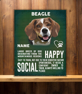 Personalised Beagle Dog Breed   Vintage Metal Sign Rs66
