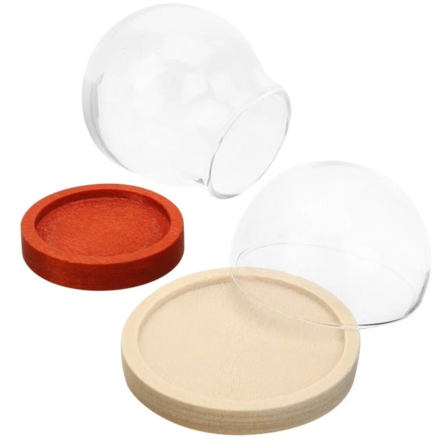 2PCS Glass Dome petite vitrine Base de bois en bois transparent Dômes