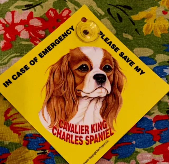Emergency Label Save My Pet - Cavalier King Charles