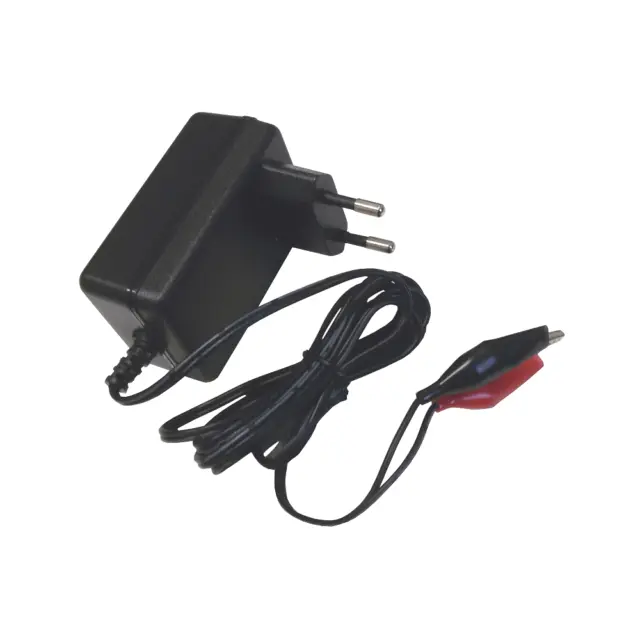 Carica Batteria Automatico Al Piombo 6V Per Bici Auto Moto Peg Perego No 2V 12V