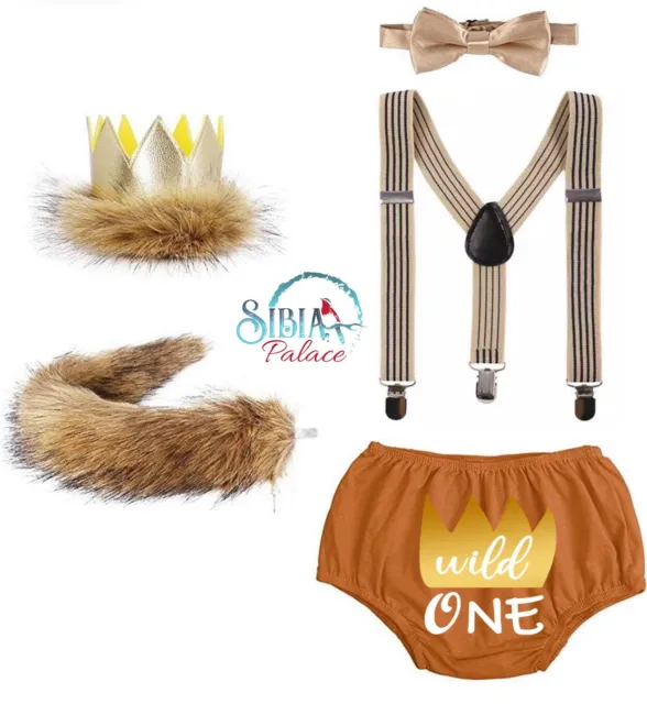Wild One Baby Boy Lion Jungle Cake Smash 1st Birthday Costume Photo Prop Outfit