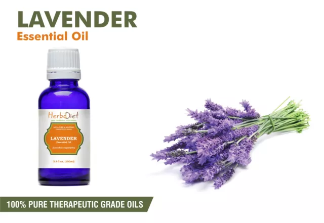 Lavender Essential Oil 100% Pure Natural PREMIUM Uncut Therapeutic Grade Oils