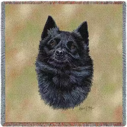 Lap Square Blanket - Schipperke by Robert May 3378 IN STOCK